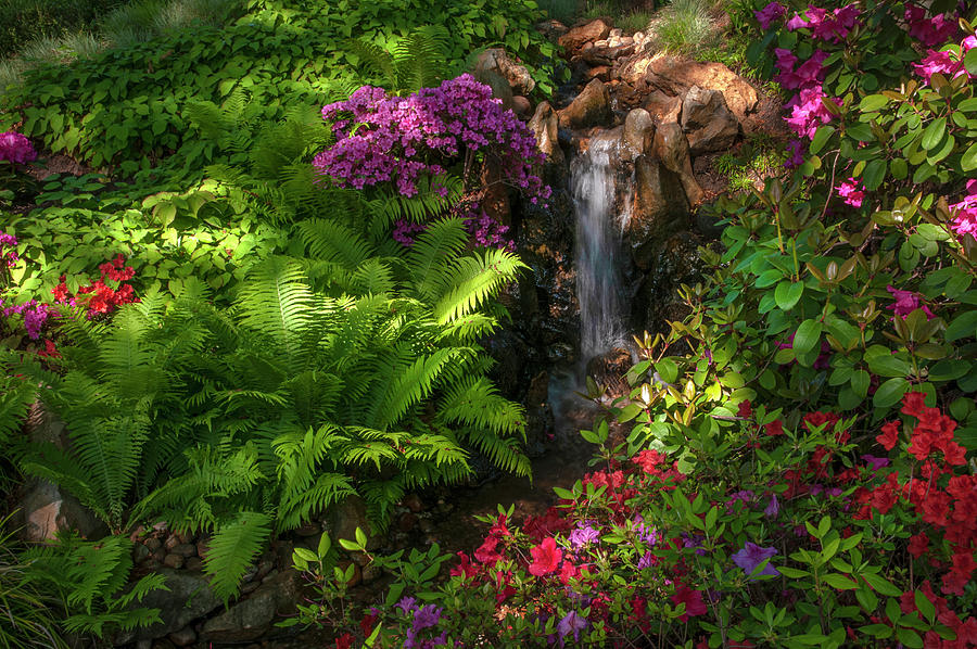 Magic Corner of Japanese Garden 3 Photograph by Jenny Rainbow