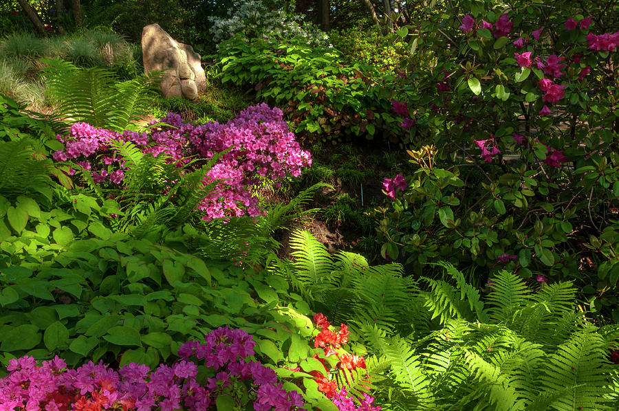 Magic Corner of Japanese Garden 7 Photograph by Jenny Rainbow