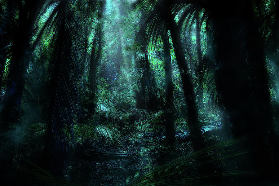 Magic Forest #2 by Werner Kaffl Magic Forest #2 by Werner Kaffl