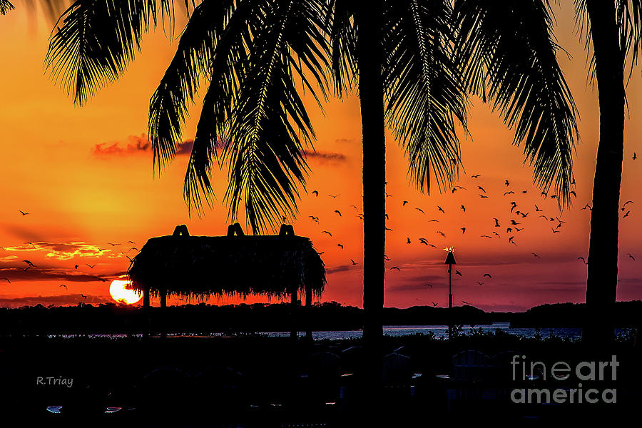 Sunset Photograph - Magic Hour Magic Times by Rene Triay FineArt Photos