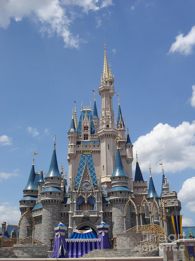 Magic Kingdom Castle Photograph by Mark Swann - Fine Art America