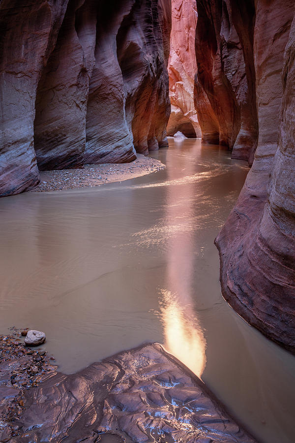 Magic Light in the Canyon Photograph by Alex Mironyuk