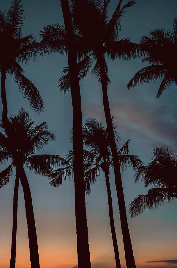 Magic Maui Evening Photograph