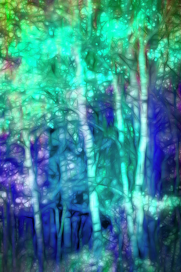 Magic Midnight Forest Digital Art by Ann Powell