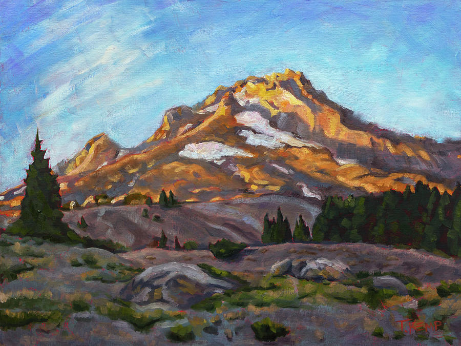 Magic Mountain Painting by Tara D Kemp