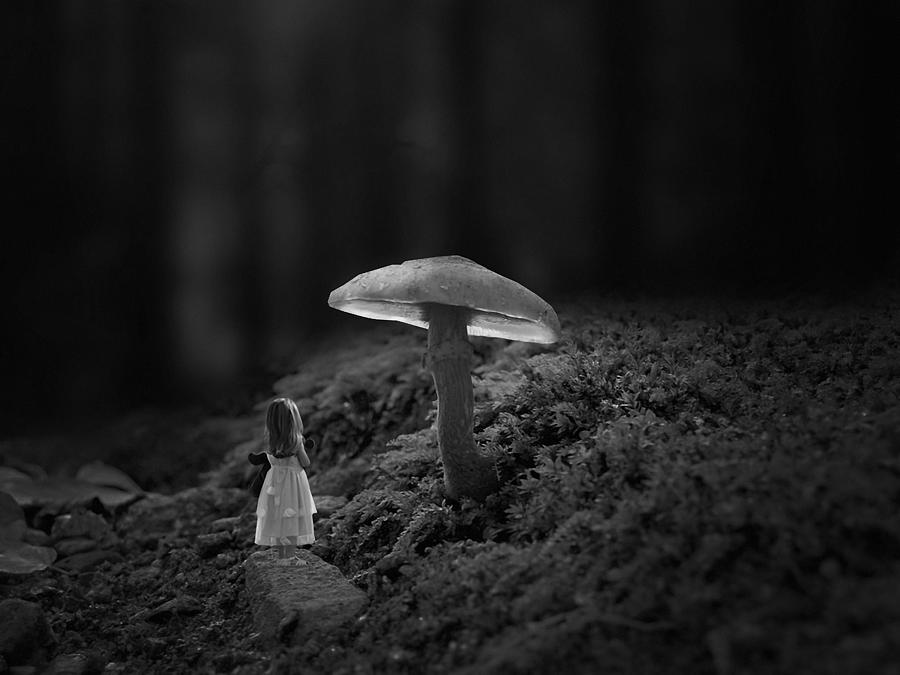 Magic Mushroom Mixed Media by Marvin Blaine