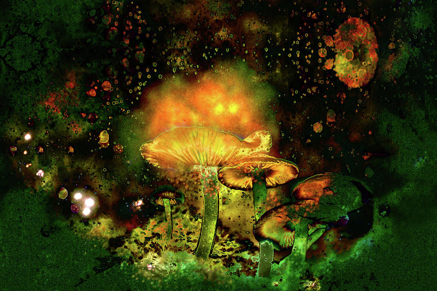 Magic Mushrooms 3b Digital Art by Lisa Yount