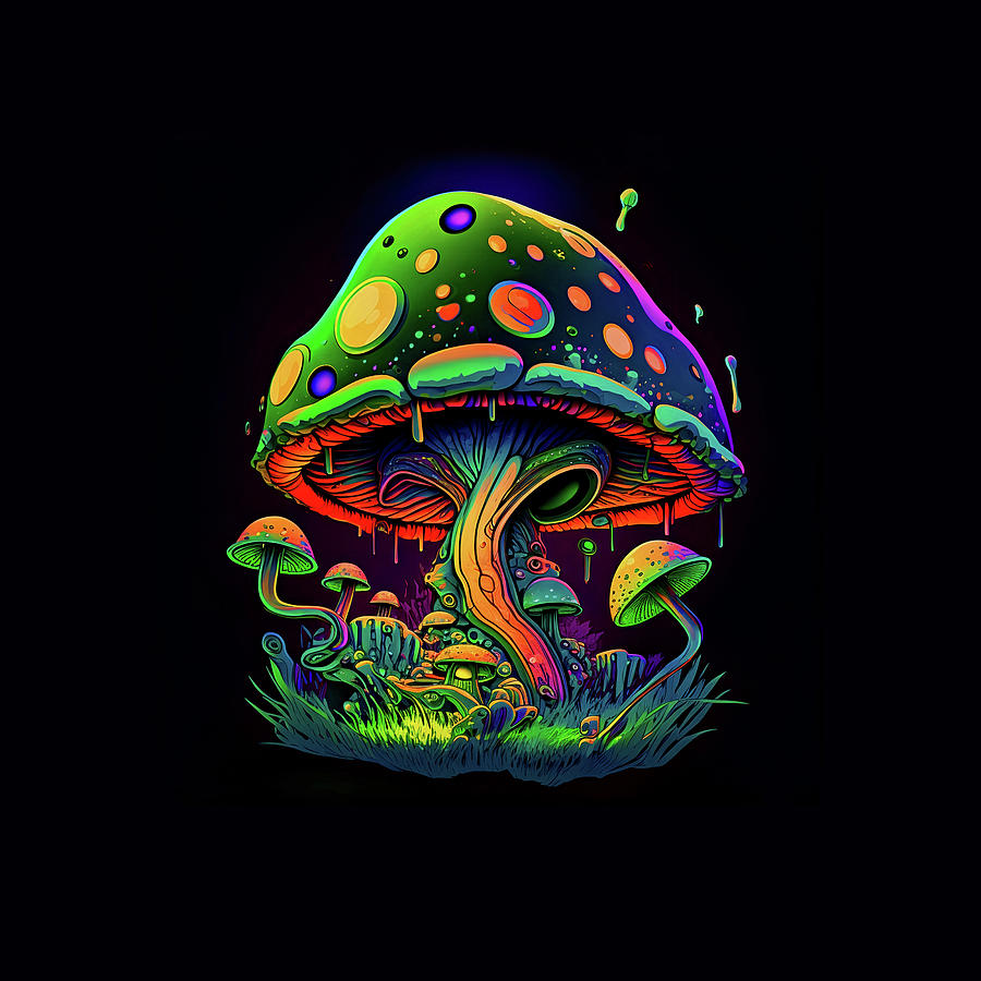 Magic mushrooms high resolution illustration for psychedelic mushrooms ...