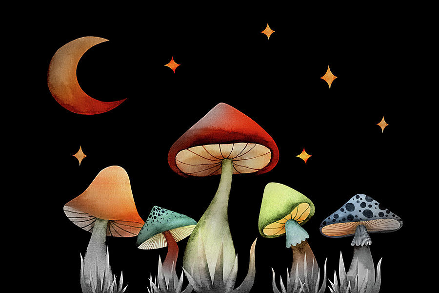 Magic Mushrooms Photograph by Jessica Brawley