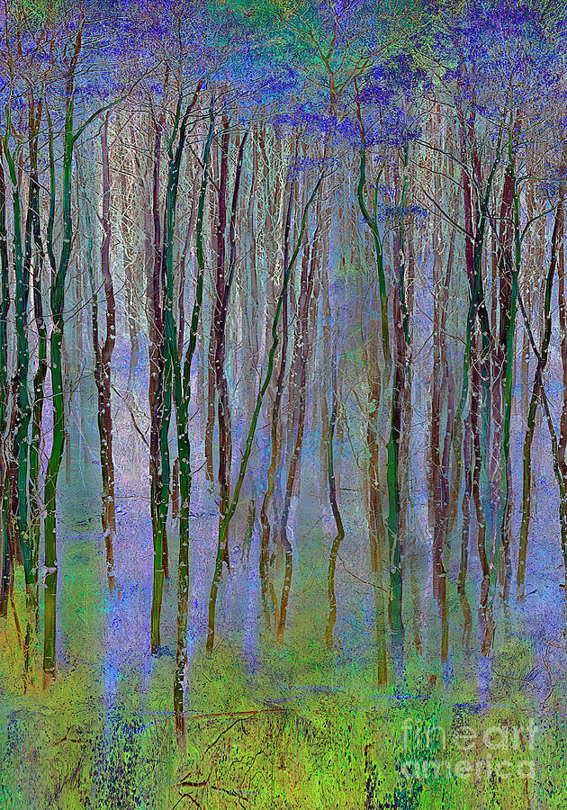 Magic of a Forest Digital Art by Edmund Nagele FRPS