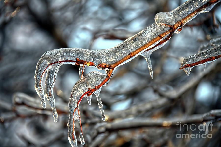 Magic of Winter.. Photograph by Jolanta Anna Karolska