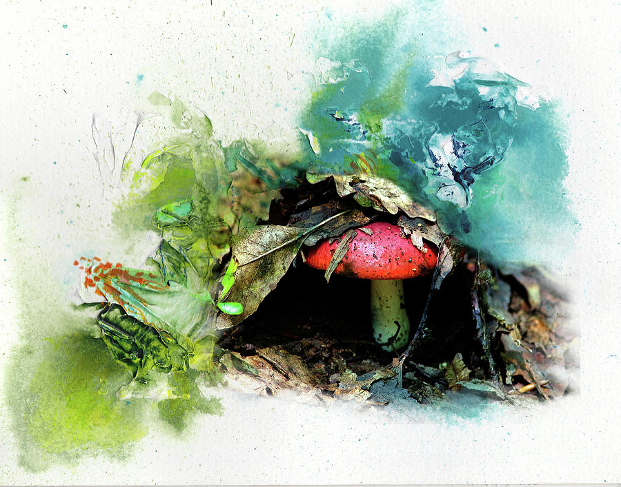 Magic red with blue Mushroom Digital Art by Deb Nakano