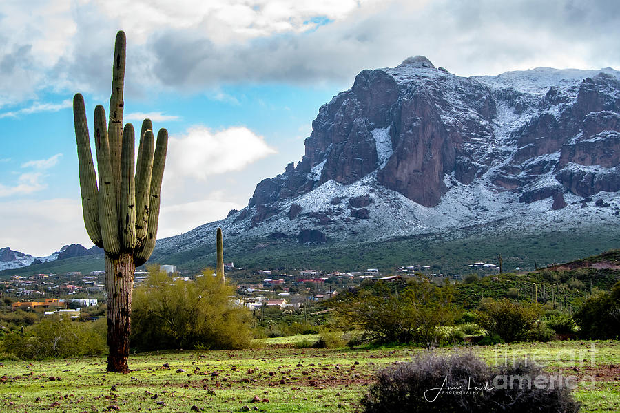 Magic Snow On The Superstition Photograph By Ann Loyd - Fine Art America