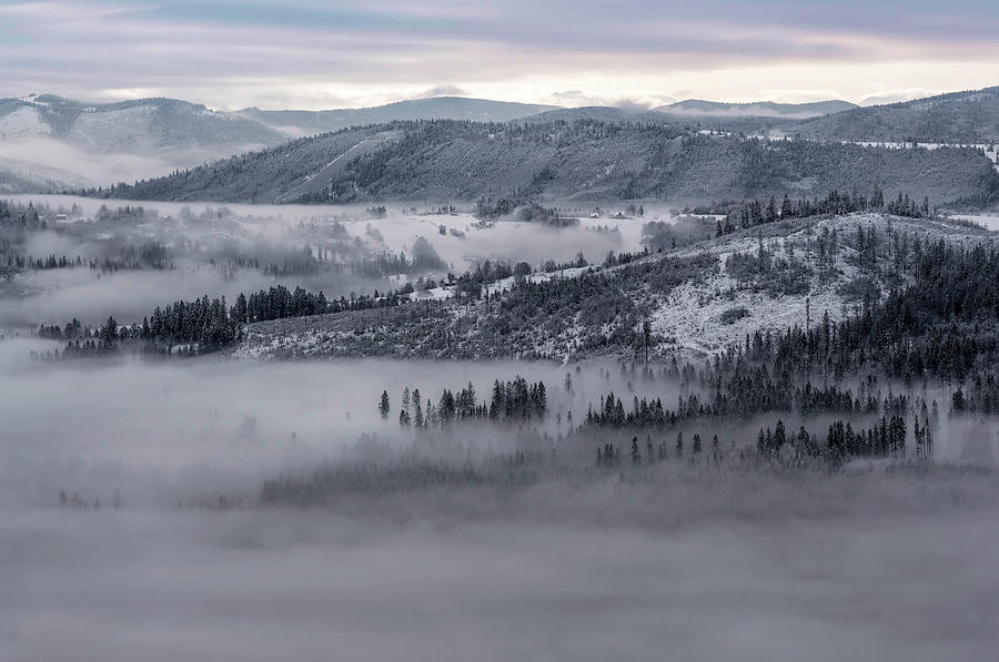 Magic snowy morning Photograph by Jaroslaw Blaminsky