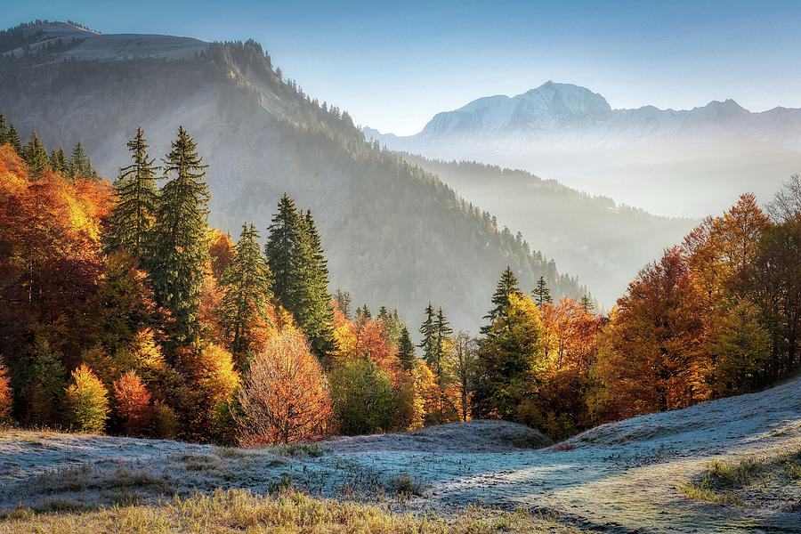 Magic Sunrise over foggy Mont Blanc behind autumn leaves Photograph by ...