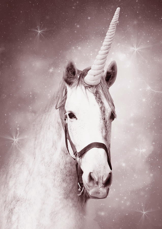 Magic Unicorn Sepia Digital Art