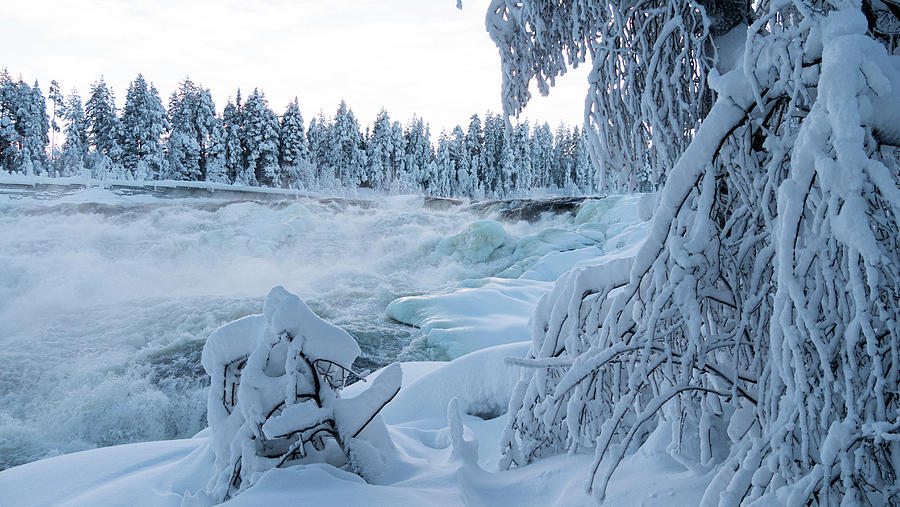 Magic Winter Waterfall Storforsen In Winter Photograph