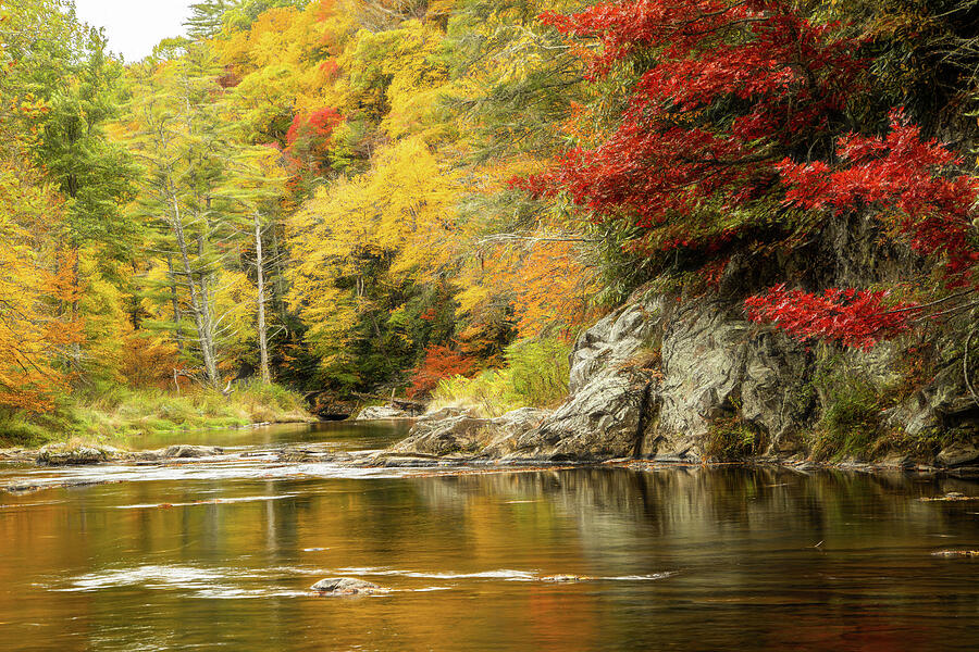Magical Autumn Photograph by Dodie Ross Magical Autumn Photograph by Dodie Ross