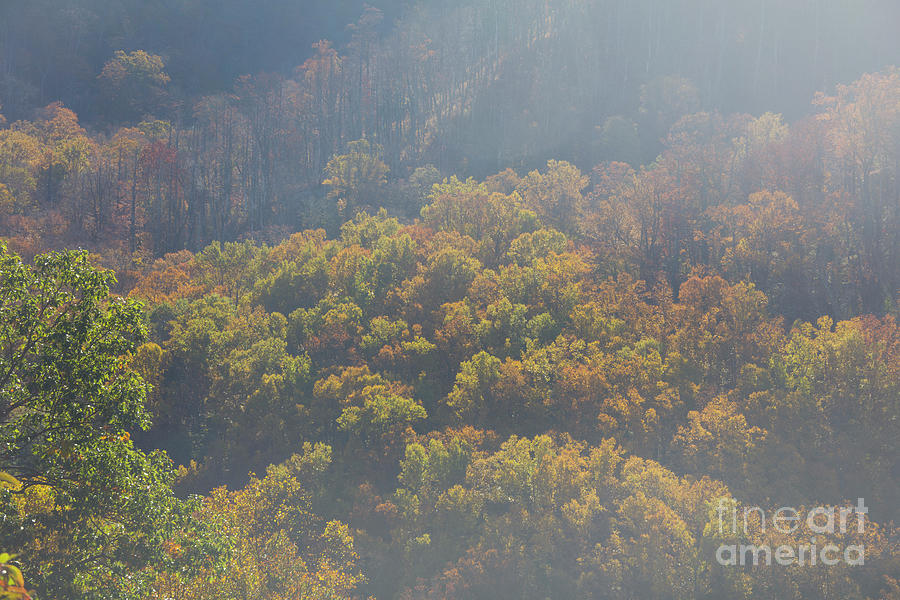 Magical Autumn, Great Smoky Mountains National Park Photograph by Felix Lai
