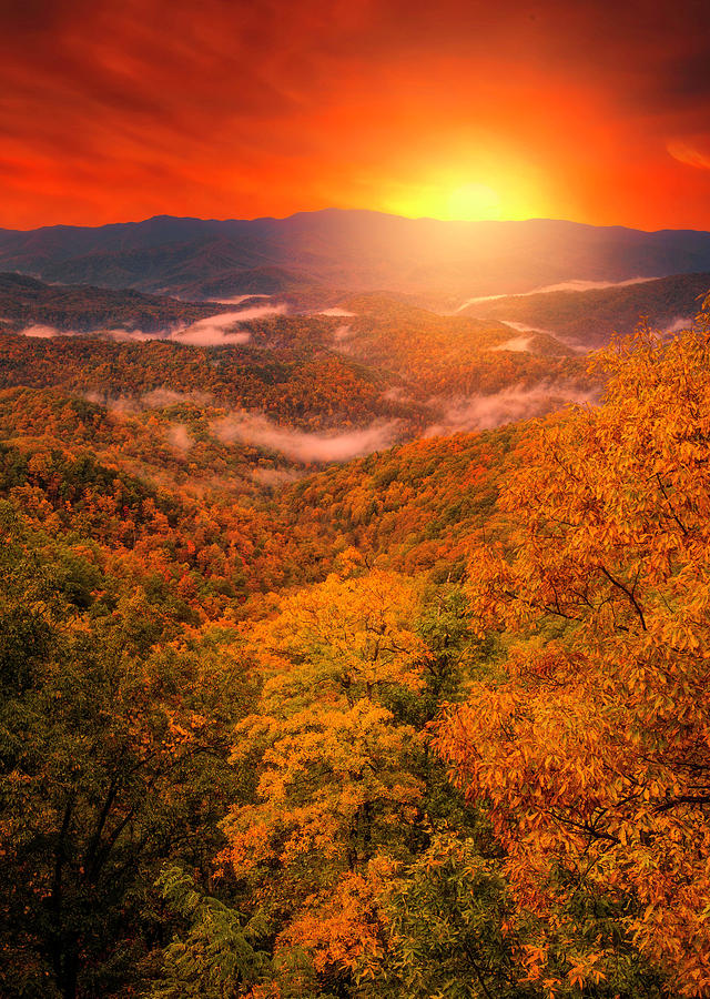 Magical Autumn Sunrise On Blue Ridge Parkway Photograph by Dan Sproul