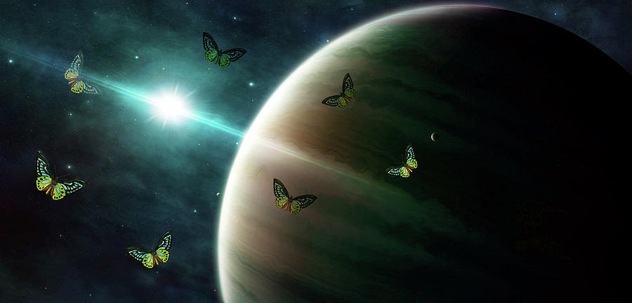 Magical Butterflies In Outer Space Mixed Media by Johanna Hurmerinta