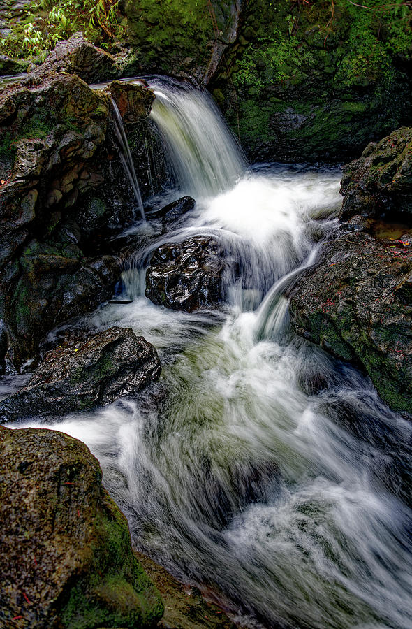 Magical Cascading Stream Photograph by Heidi Fickinger