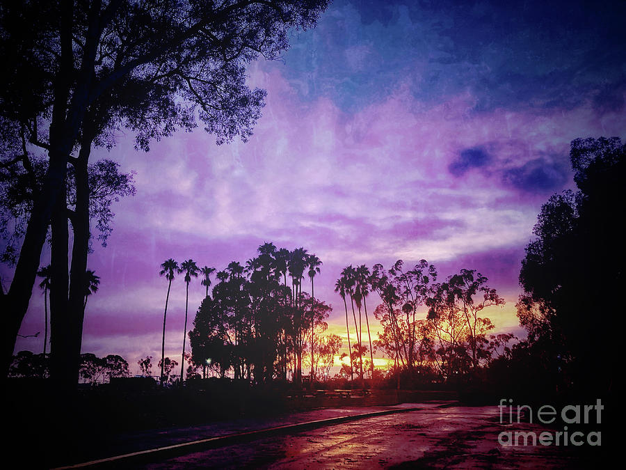 Magical Doheny Sunset Photograph