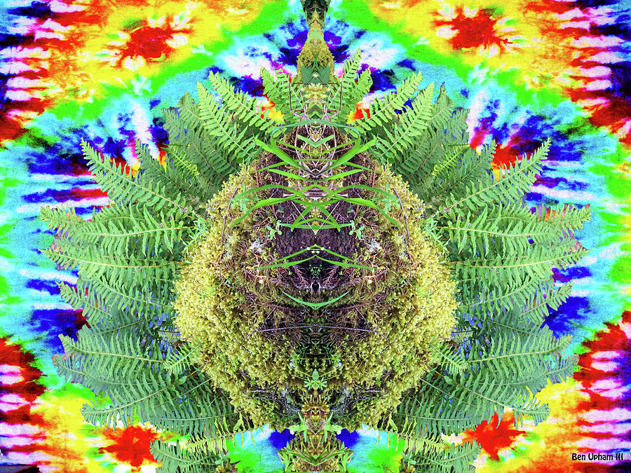 Magical Fern Mirror #1 with Tie-Dye Photograph by Ben Upham III