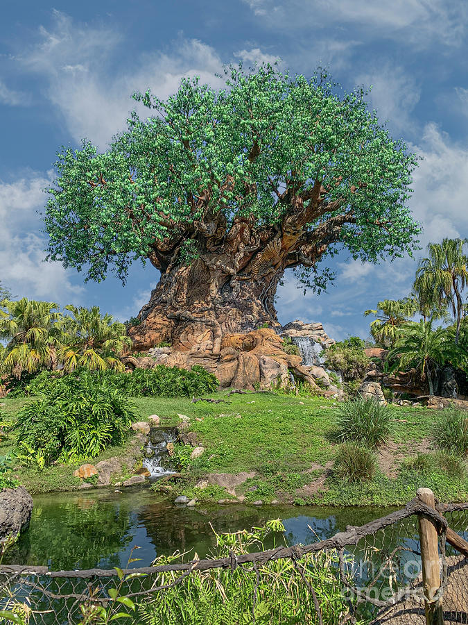 Magical Florida Tree Photograph by Dale Powell