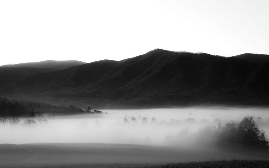 Magical Foggy Morning In Cades Cove Photograph by Dan Sproul