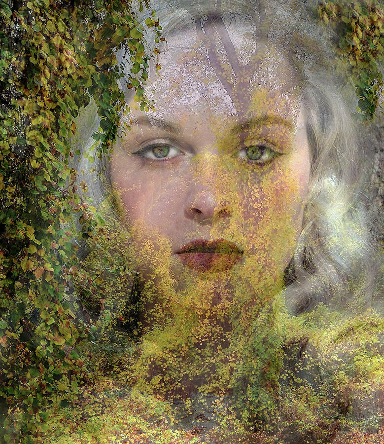 Magical Forest Nymph Photograph by Marilyn MacCrakin - Fine Art America