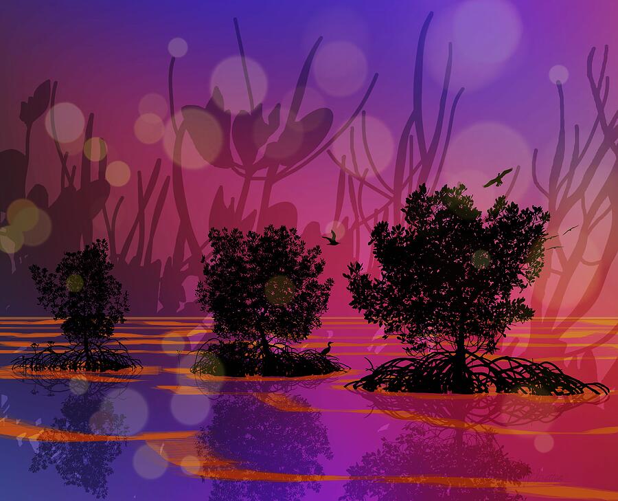 Magical Mangroves Tropical Sunset Paints The Sky Drawing by Joan Stratton Magical Mangroves Tropical Sunset Paints The Sky Drawing by Joan Stratton