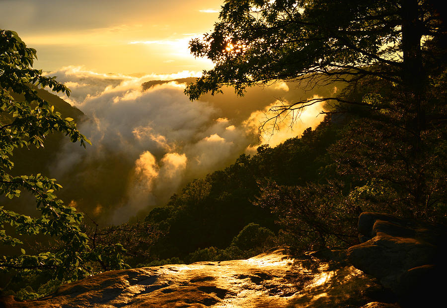 Magical Moody Sunrise Photograph by Lisa Lambert-Shank