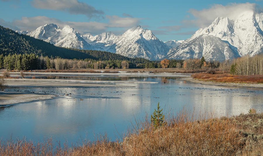 Magical Morning at Oxbow Bend, Grand Tetons Photograph by Marcy Wielfaert