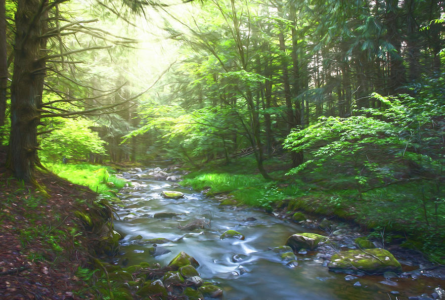 Magical Morning Light In Loyalsock State Forest Painting by Dan Sproul
