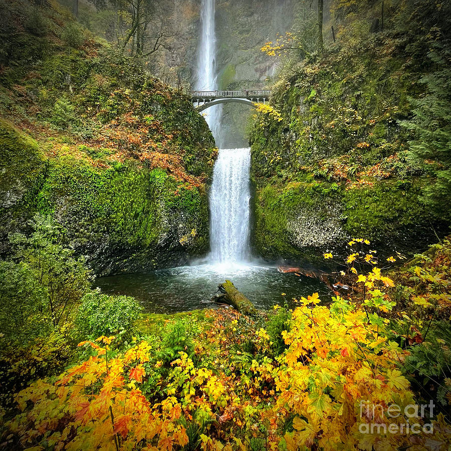 Magical Multnomah Falls in Autumn Square Photograph by Carol Groenen