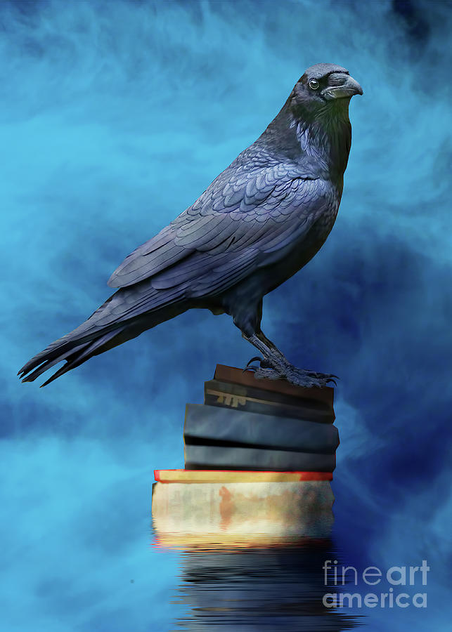 Magical Mystical Raven and Books Fantasy Photograph by Stephanie Laird