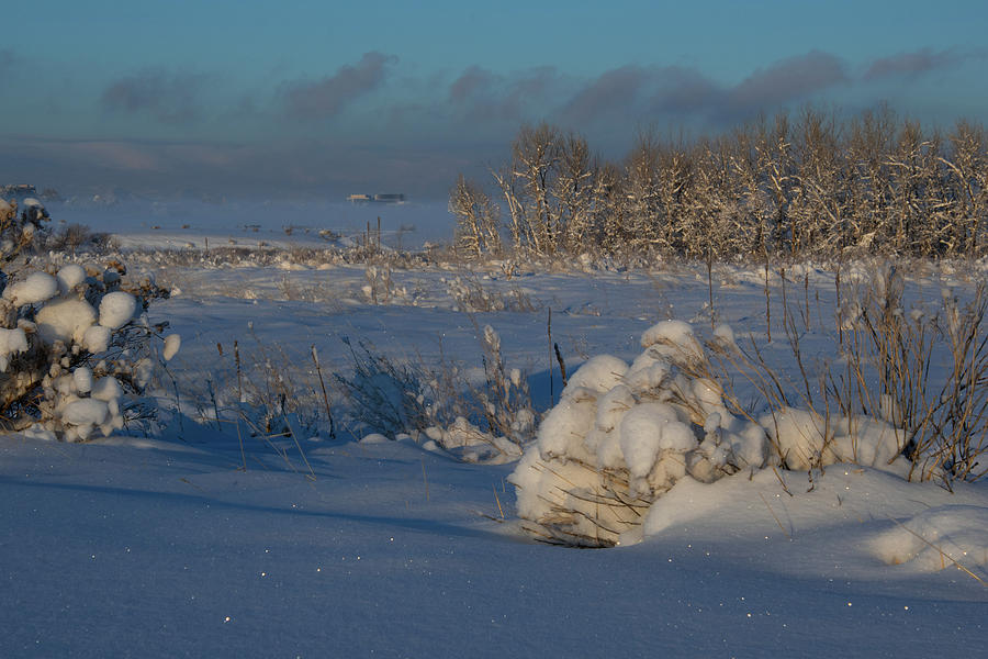 Magical Sparkling Winter Landscape Photograph by Cascade Colors