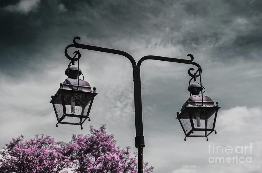 Magical Street Lantern Photograph by Michelle Meenawong