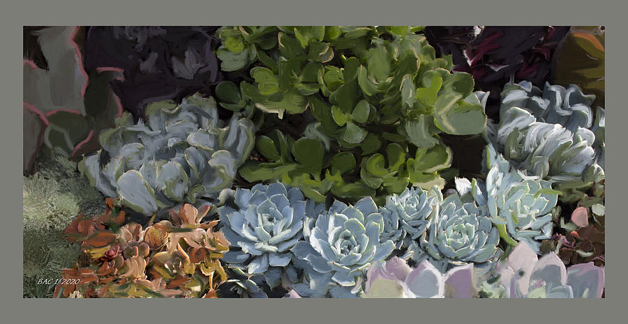 Magical Succulents Digital Art by Beth Cornell