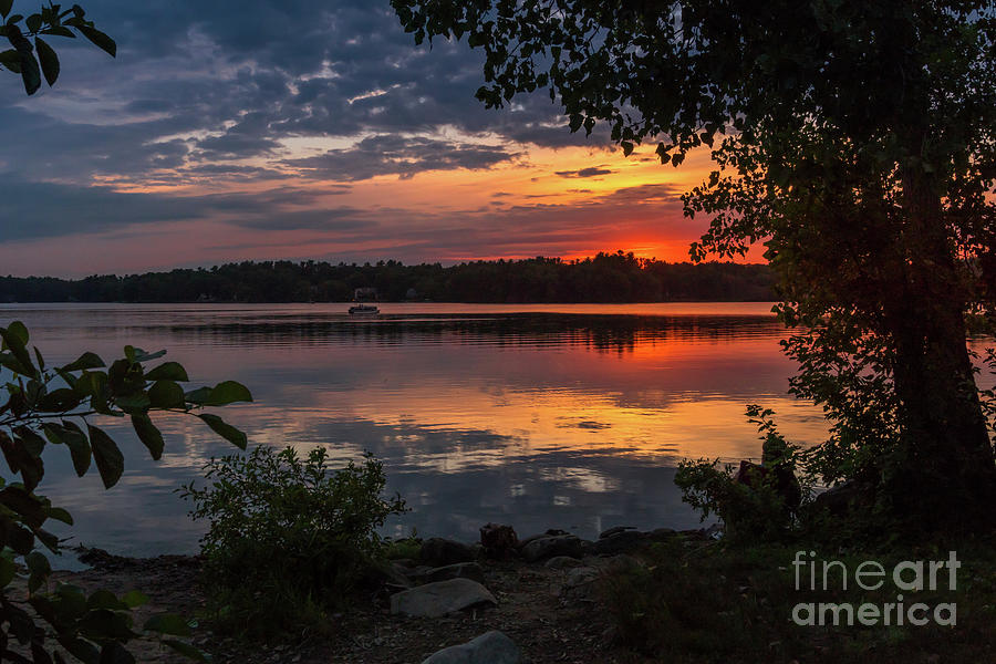 Magical summer sunset Photograph by Claudia M Photography - Fine Art ...