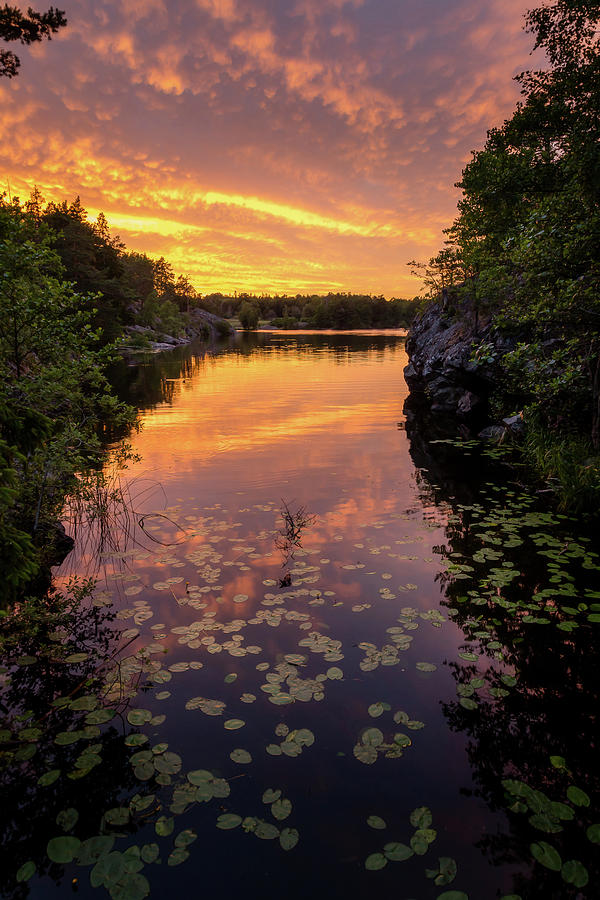 Magical Sunset Over Summer Lake Photograph By Nicklas Gustafsson Pixels