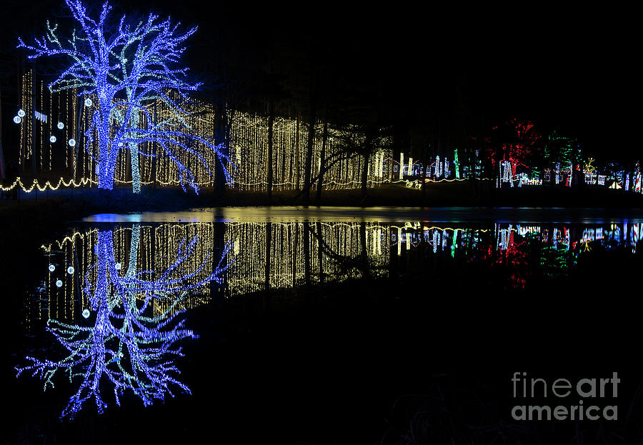 Magical Tree Reflections Miracle at Big Rock Photograph by Wayne Moran