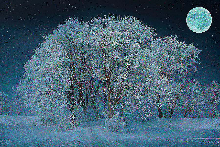 Magical Winter Night Mixed Media by Alex Mir