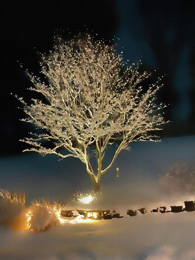 The Magic Of Winter Photograph by Deborah League