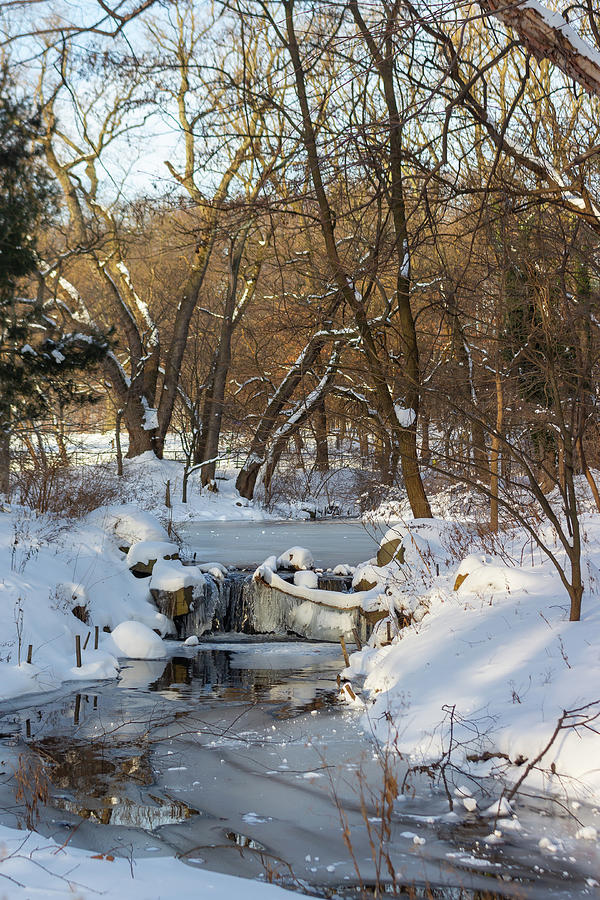 Magical Winter Wonderland Photograph by Auden Johnson