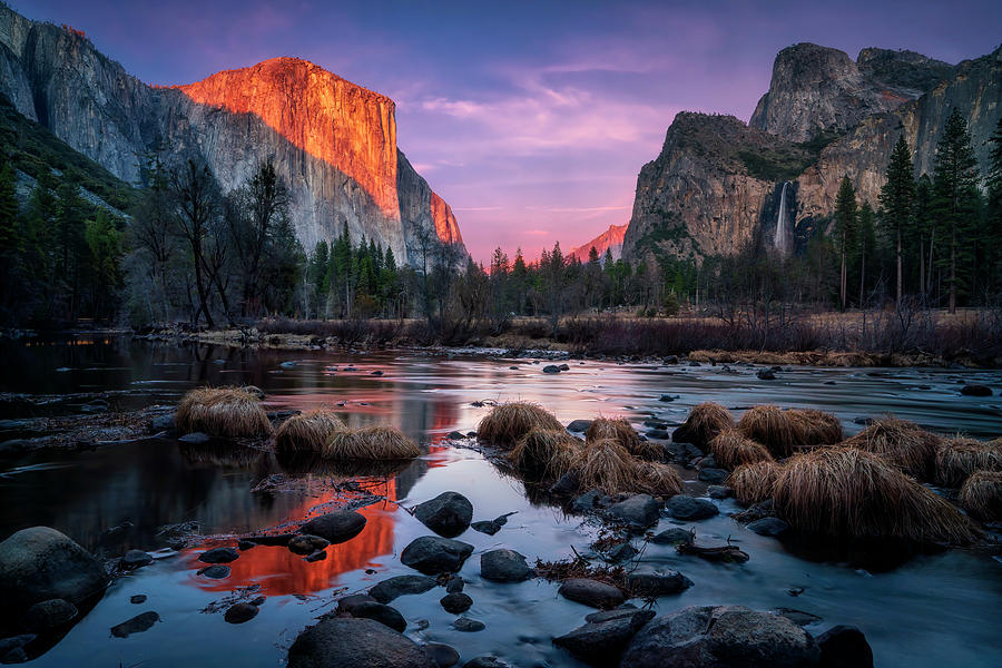 Magical Yosemite Photograph by David Soldano