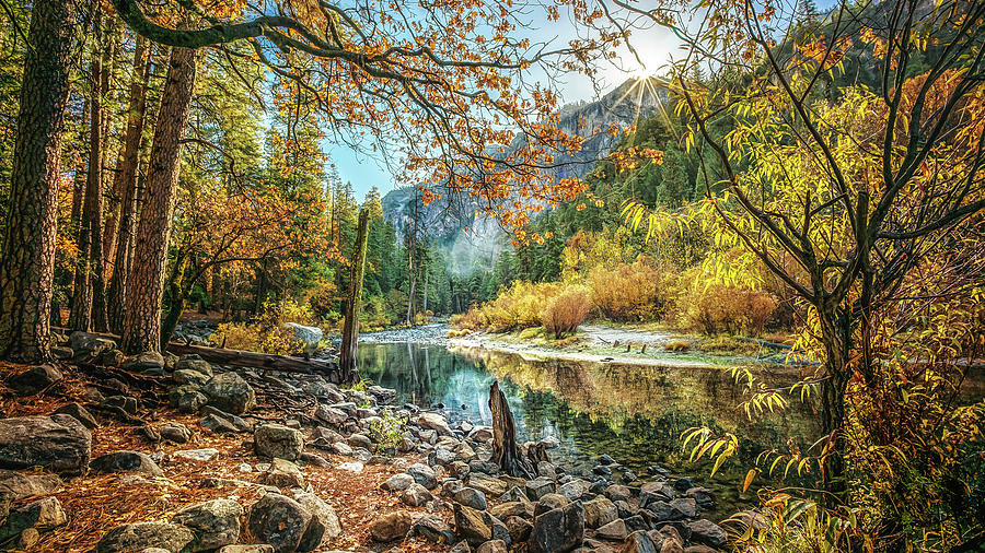 Magical Yosemite National Park Photograph by Joseph S Giacalone
