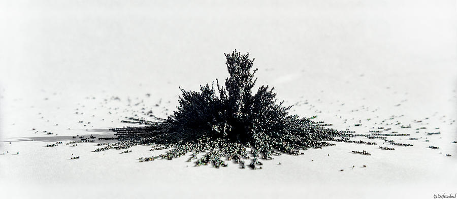 Magnetic Explosion 02 Photograph by Weston Westmoreland