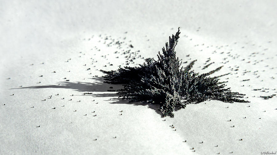 Magnetic Explosion 03 Photograph by Weston Westmoreland